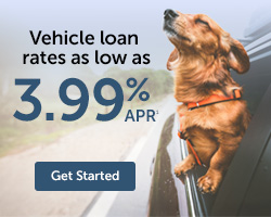 Photo of dog vehicle loan rate 3.99